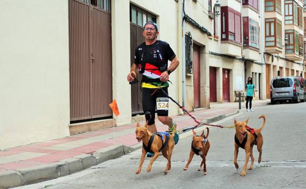 El propósito de correr con nuestro perro