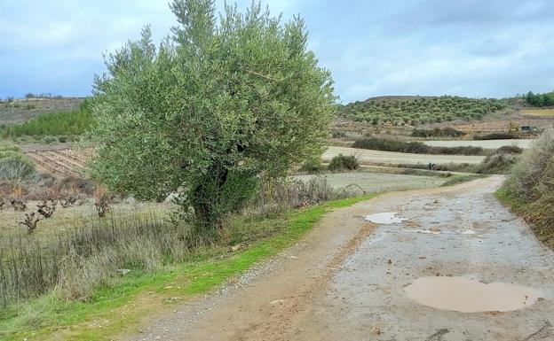 Villamediana destina 200.000 euros a arreglar nueve caminos