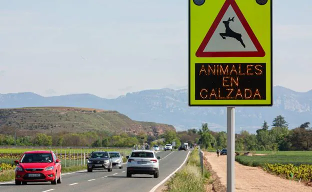 La Rioja cierra 2022 con 12 fallecidos y 73 heridos graves en las carreteras
