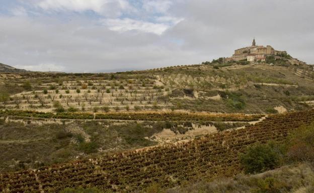 El Gobierno Vasco da luz verde al inicio de las obras del parque eólico de Labraza