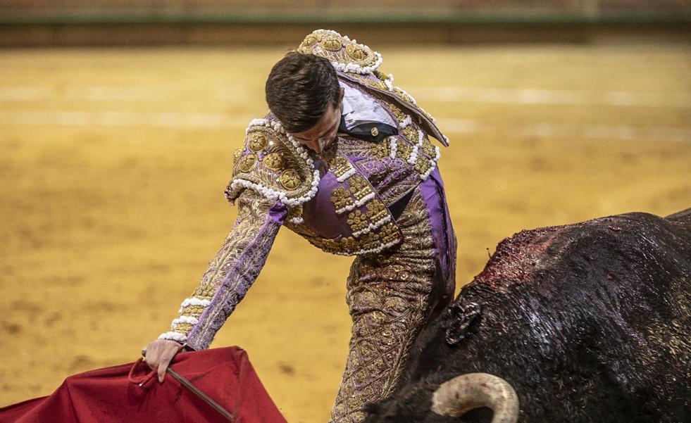 Arnedo convoca la compra de los novillos para el Zapato de Plata por 12.500 euros