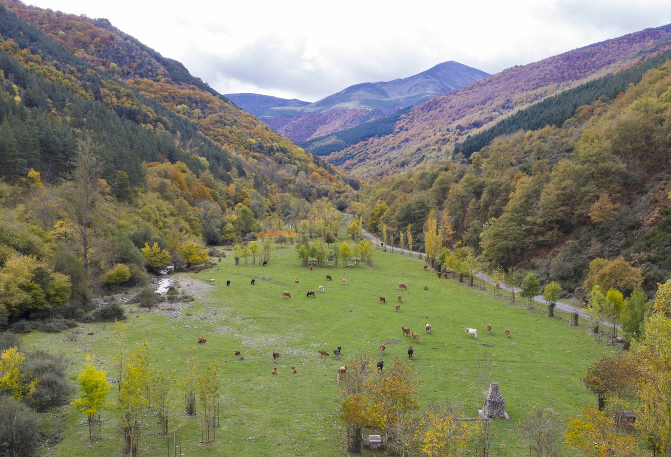 La Rioja forma pastores 3.0 con cursos de drones para cuidar los rebaños