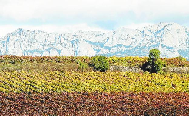 Fuenmayor, Cenicero y Casalarreina apoyan la reparación del nombre para la sierra de Cantabria