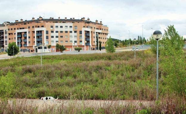El Pleno de Lardero aborda la creación de una comisión para trabajar en el barrio Entre Ríos