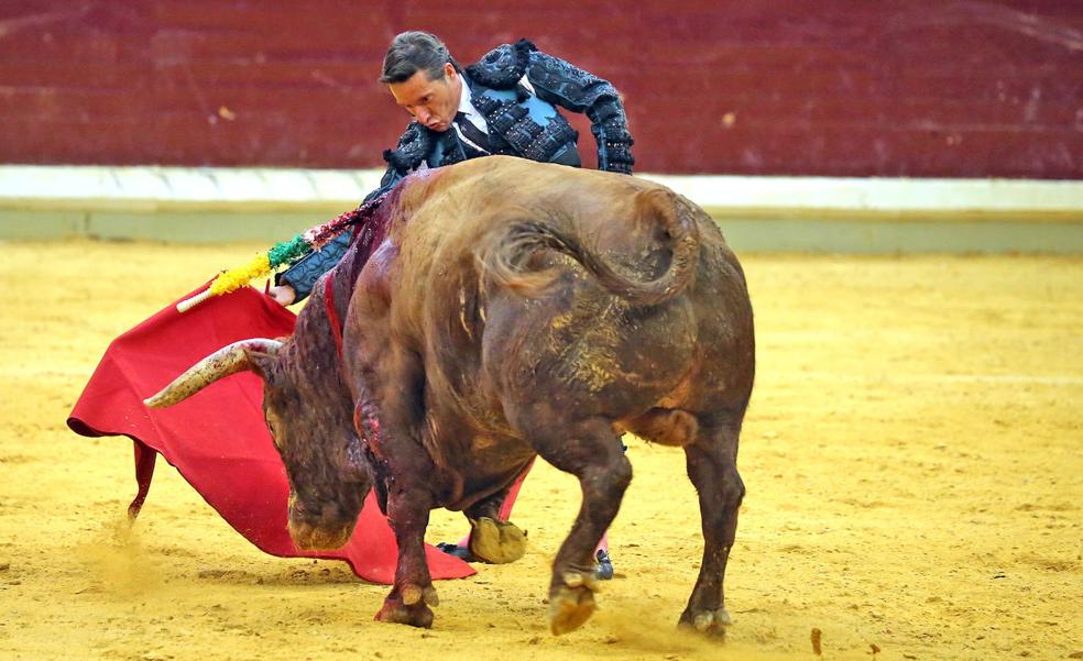 Diego Urdiales se anuncia en Madrid dos tardes por San Isidro