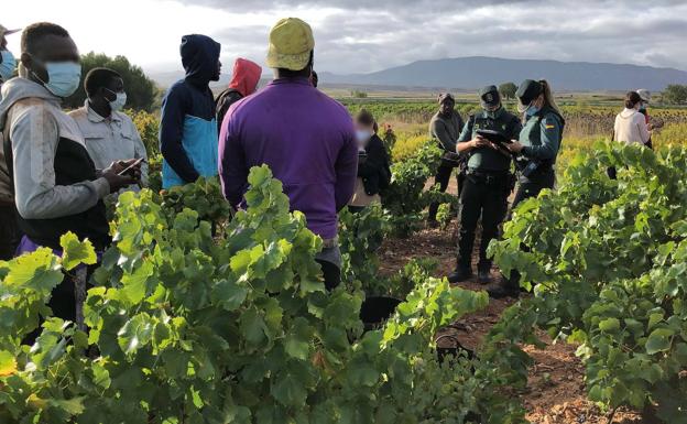 La inspección saca un millar de empleos de la economía sumergida en 2022 en La Rioja