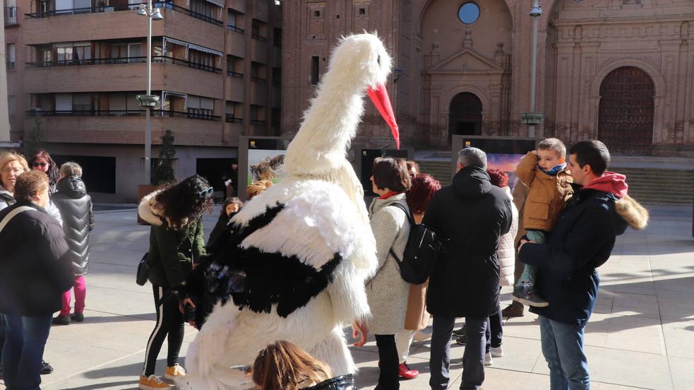 Alfaro celebra el Día de la Cigüeña