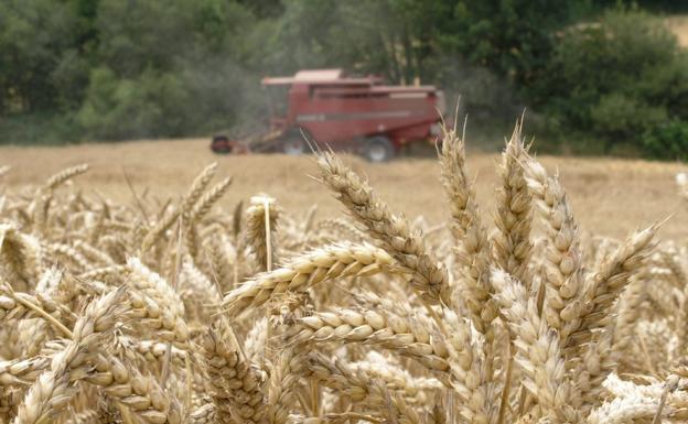 Los costes de producción agraria se incrementaron el 35% durante 2022