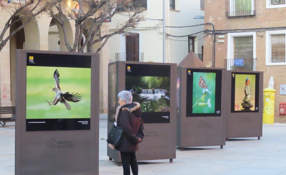 Exposición del concurso Naturaleza de La Rioja