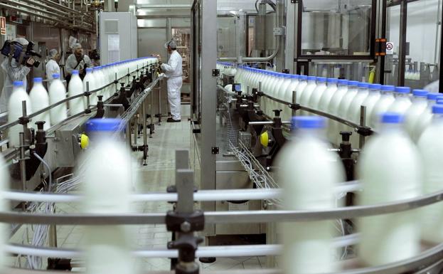 Leche, el alimento que acompaña toda una vida