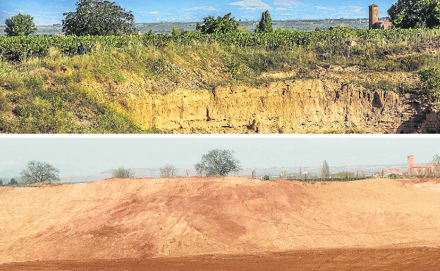 Acaba la limpieza de la cantera de Uceda y comienza la repoblación de 5,8 hectáreas