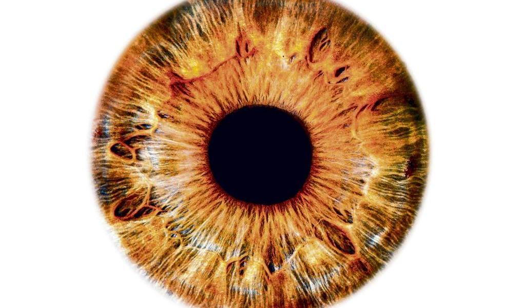 Diabetes, alzhéimer, cáncer... Estas son las enfermedades que también revelan los ojos