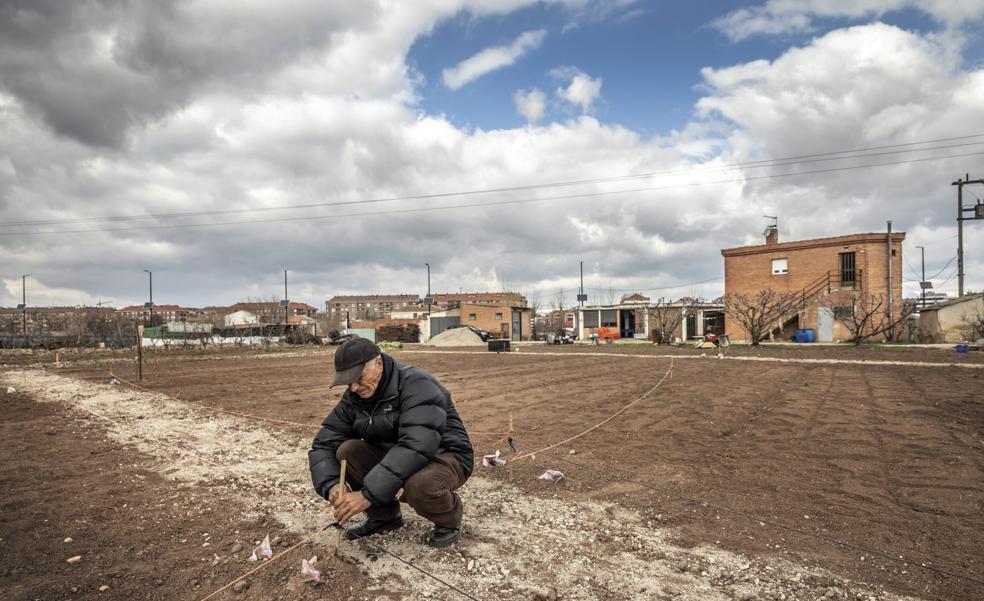 Una huerta sin salir de Logroño