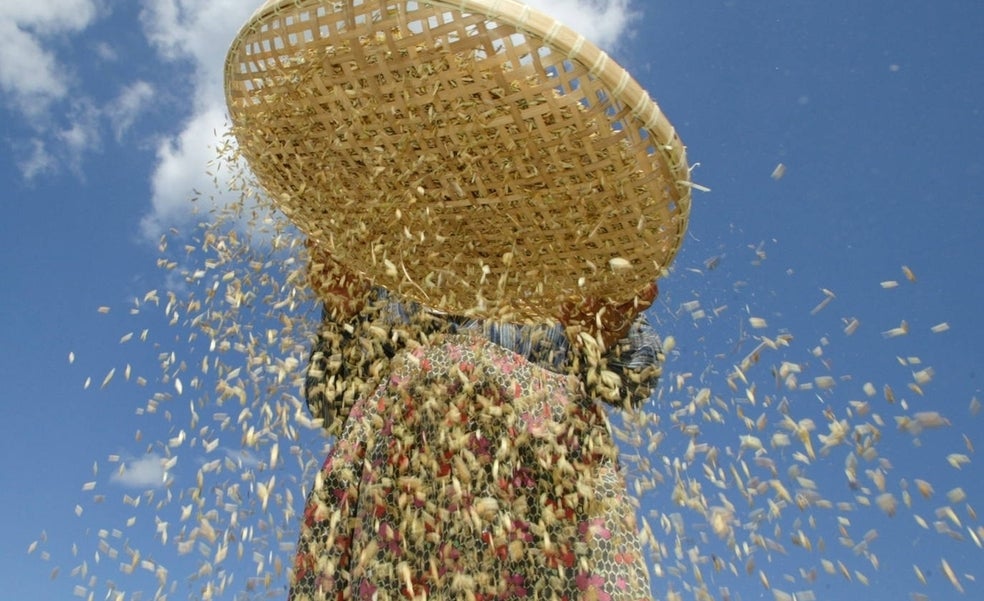 La dieta que rebaja el calentamiento global