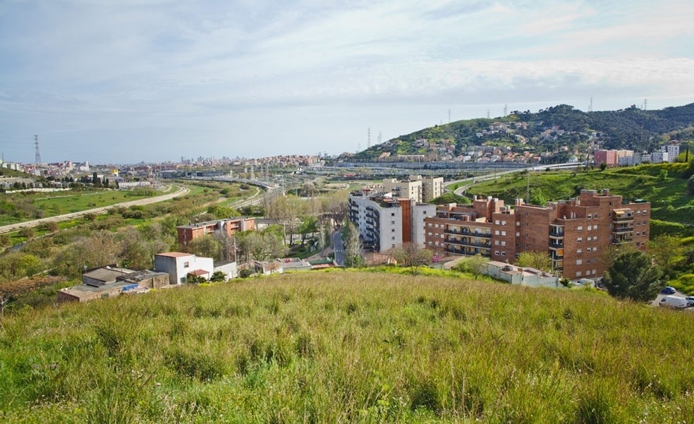 Las hortalizas catalanas que plantan cara al hormigón en Barcelona