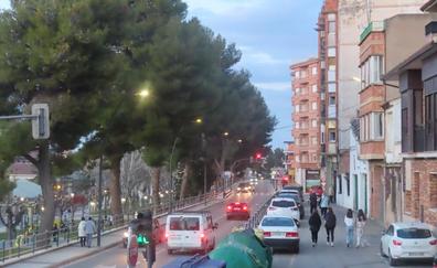 Alfaro requiere a la empresa encargada que intensifique el control de los estorninos