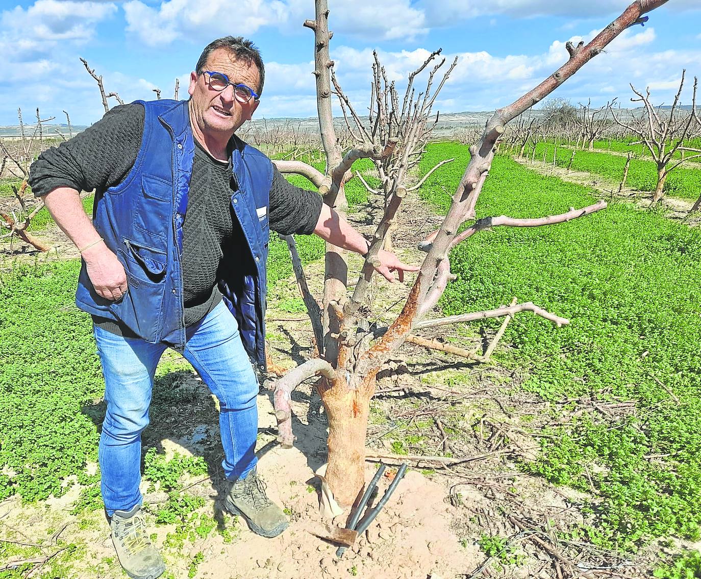 El hartazgo rebrota por los daños de la fauna salvaje