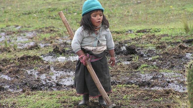 Más de 168 millones de niños trabajan en el mundo