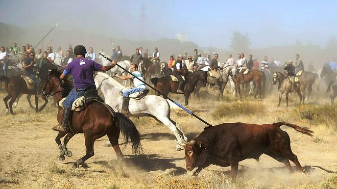 Leo Harlem rechaza dar el pregón en Tordesilla por el Toro de la Vega