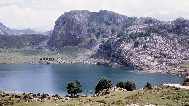 Los conservacionistas denuncian que la ley de parques nacionales permitirá construir, cazar, pescar o la tala masiva