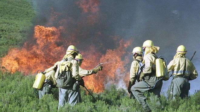 Medio Ambiente endurece la Ley de Montes para dificultar el uso de los suelos quemados