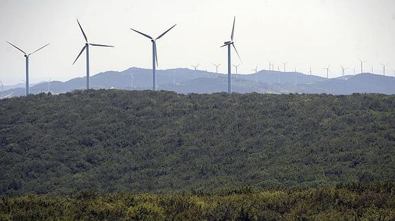 Los productores eólicos piden que se penalice a las energías más contaminantes para lograr más rebajas de precios