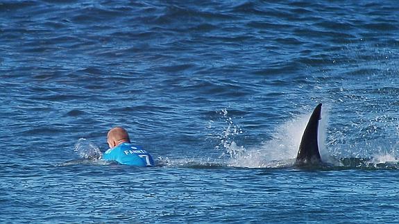 Un surfista australiano sobrevive al ataque de un tiburón