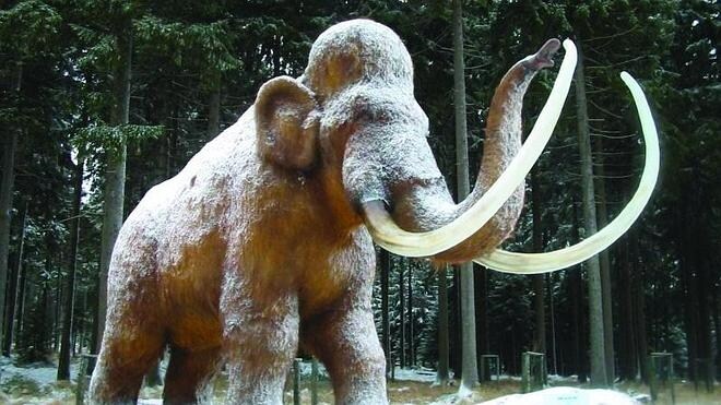 El calentamiento global acabó con los mamuts