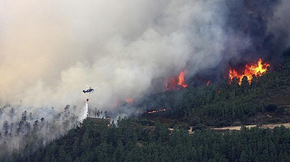 El incendio de la Sierra de Gata lleva quemadas ya más de 5.000 hectáreas