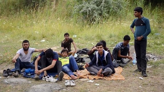 Un número récord de inmigrantes cruza la frontera entre Serbia y Hungría