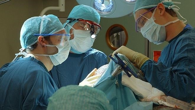 Ingenieros y médicos son los universitarios que más empleo encuentran