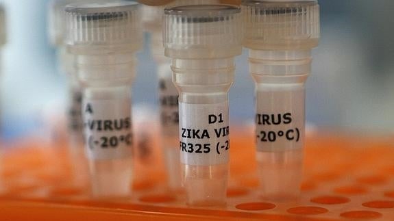 El Comité de Río 2016, «preocupado» por el virus zika