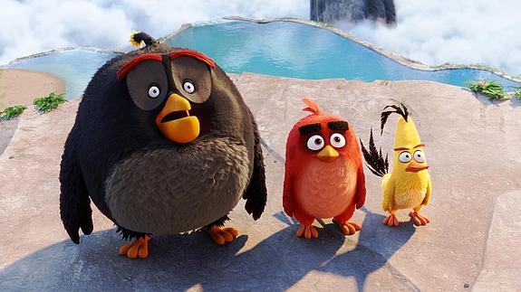 Los personajes de 'Angry Birds' adquieren vida propia y dan el salto a la gran pantalla