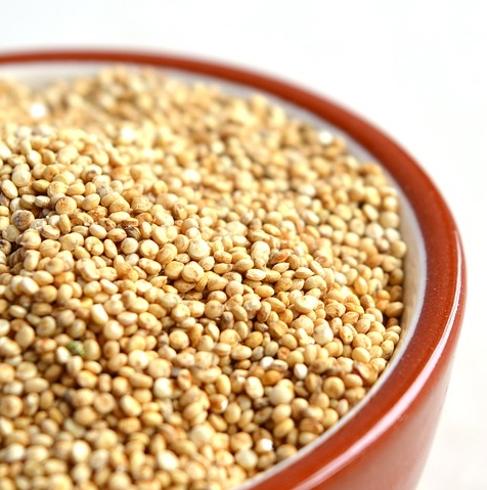 Quinoa, el cultivo favorable para la humanidad