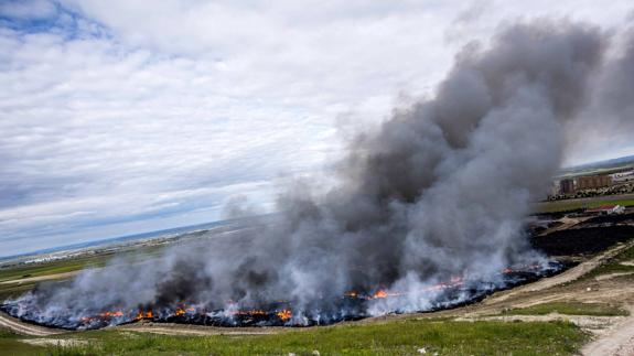 El incendio de Seseña ha contaminado las zonas de cultivo de la zona