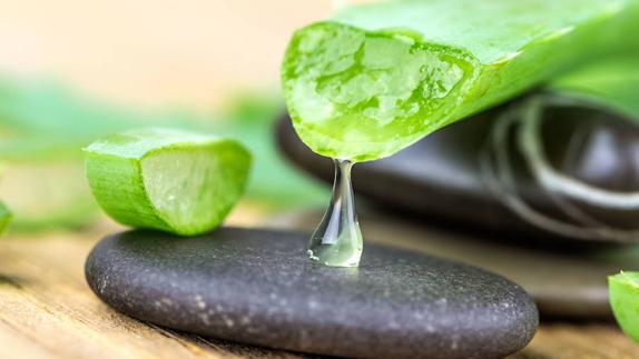 Plantas que ayudan a curar y cicatrizar heridas