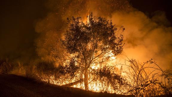 Halladas varias velas que podrían ser el origen del incendio de Orense