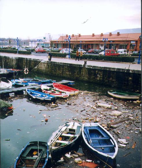 Convierten basura marina en hilos de primera calidad para tejidos