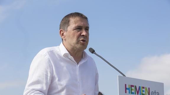 Otegi reconoce que no era «consciente del dolor» que provocaba ETA