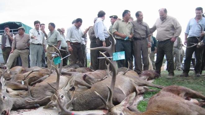 Ecologistas en Acción reclama a PP, PSOE y Ciudadanos que rectifiquen su apoyo a la caza