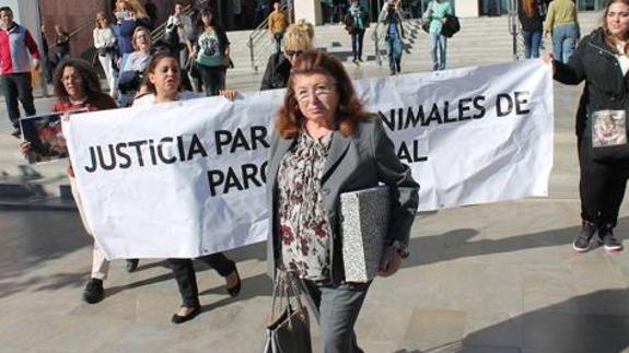 La presidenta de la protectora de Torremolinos, condenada a casi cuatro años de cárcel