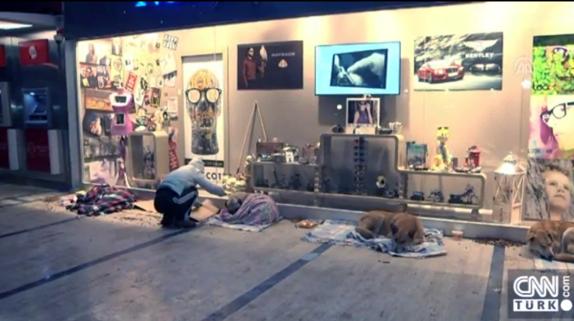 Un centro comercial para que se refugien perros callejeros