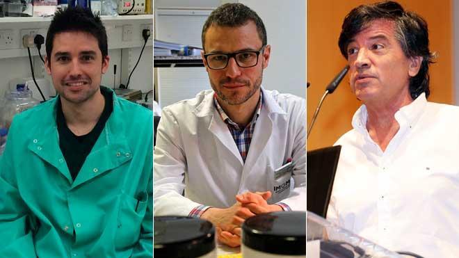 Científicos españoles descubren un centenar de genes que frenan la progresión del cáncer