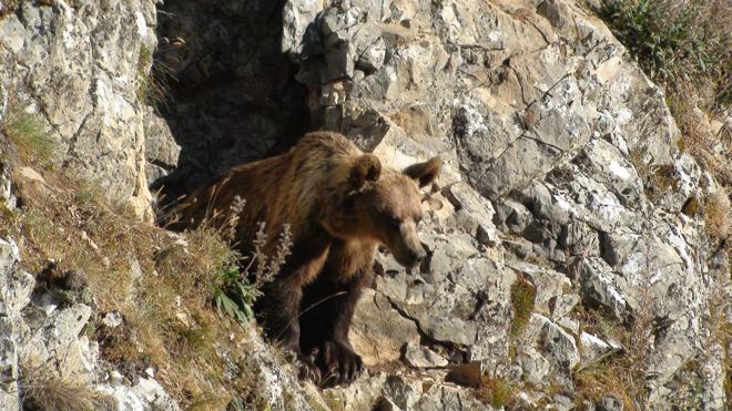 'Cantábrico', el espectáculo de la naturaleza