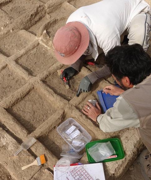 Arqueólogos españoles desentierran en Egipto un jardín funerario único de 4.000 años