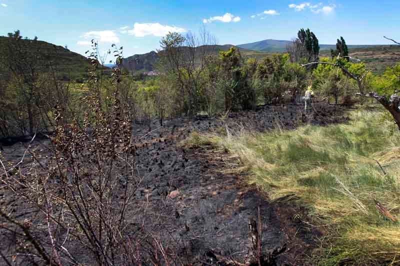 Incendio en el Camino de Los Linares de Nalda