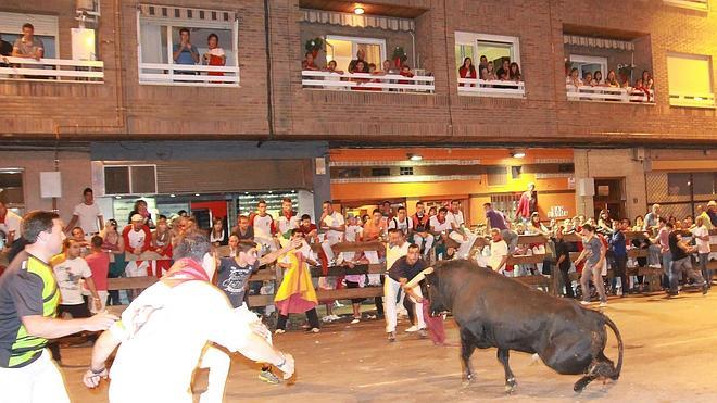 El pleno reivindica la tradición del toro ensogado