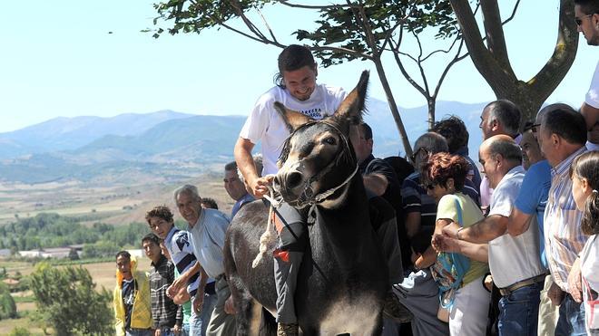 Burros riojanos, vascos, asturianos y cántabros participarán en la carrera del lunes