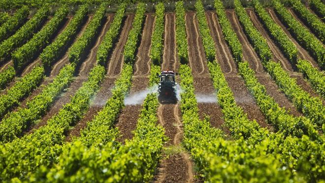 La agricultura hace bajar el paro en La Rioja en agosto