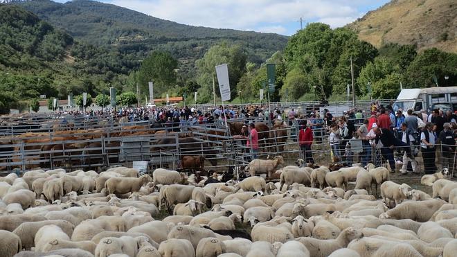 Cita ganadera en la XVIII Feria de Villoslada de Cameros